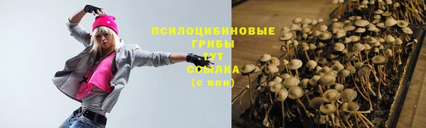 jwh Абаза