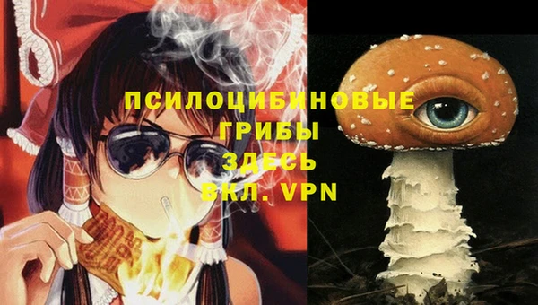 jwh Абаза