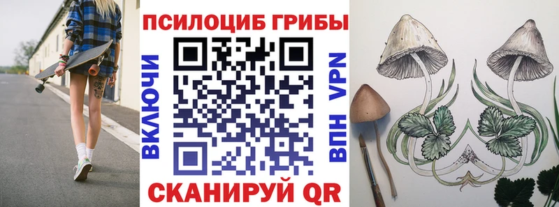 Псилоцибиновые грибы мухоморы  цены наркотик  Грозный 